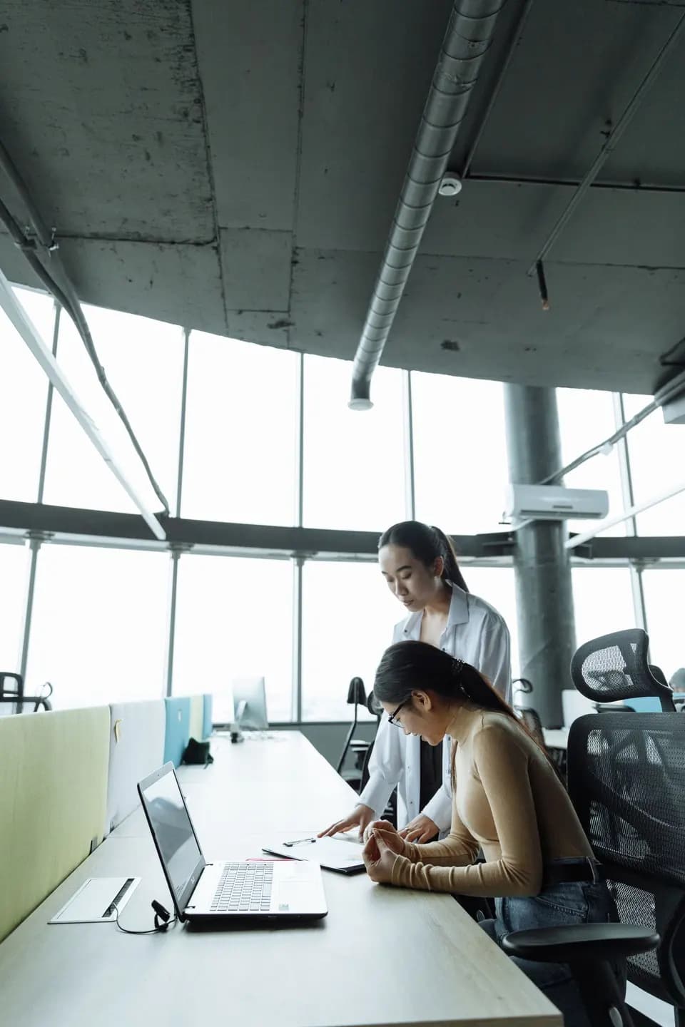 Two colleagues working together at a desk by a window